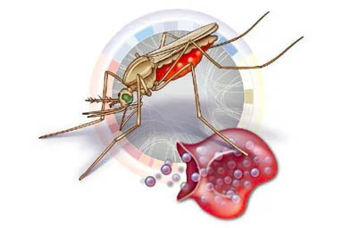 ANTIMALARIAL